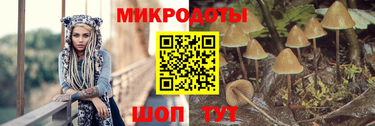 Псилоцибиновые грибы Cubensis  Вход с VPN  Осинники 